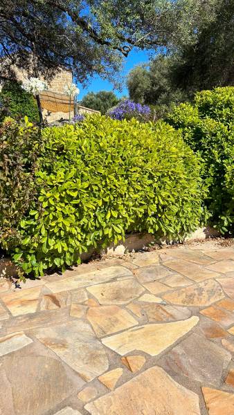 Terrasses en opus incertum quartzite jaune